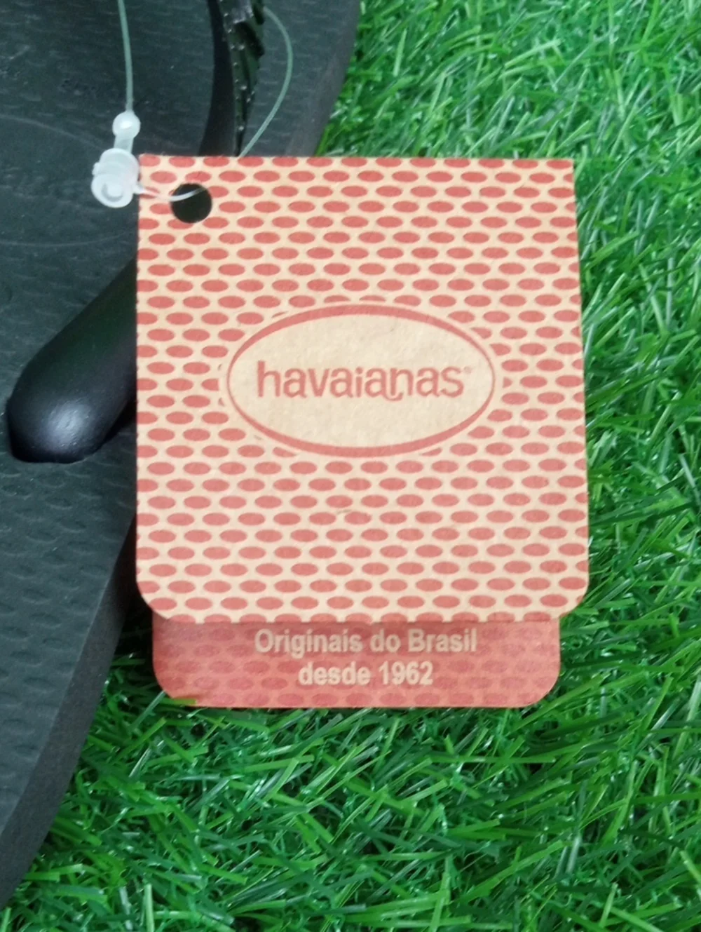 🛝🍒 Havaianas Kids Classic Black Flip Flops